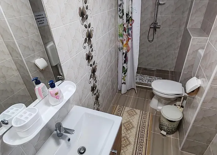 Casa Rotaru Проживание в семье *