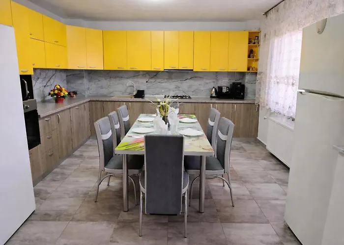 Проживание в семье Casa Rotaru