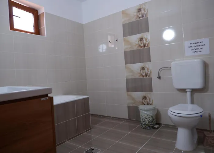 Casa Rotaru * Două Mai