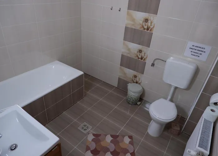 Ubytování v soukromí Casa Rotaru