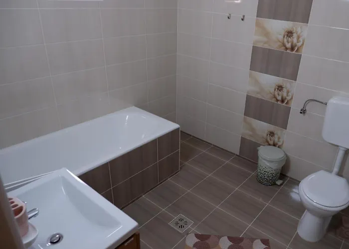 Casa Rotaru Ubytování v soukromí *