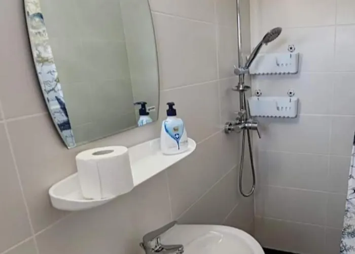 Casa Rotaru Проживание в семье