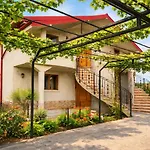 Casa Rotaru Homestay 2 Mai