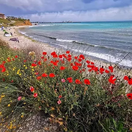 Privat bolig Casa Rotaru Două Mai