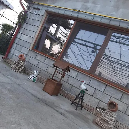 Privat bolig Casa Rotaru *