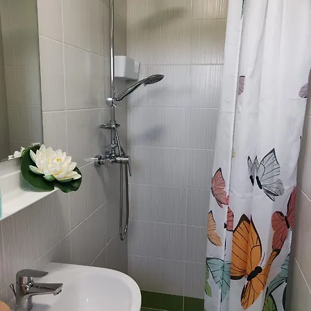 Casa Rotaru * Două Mai