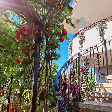 Casa Rotaru Homestay szállás Două Mai