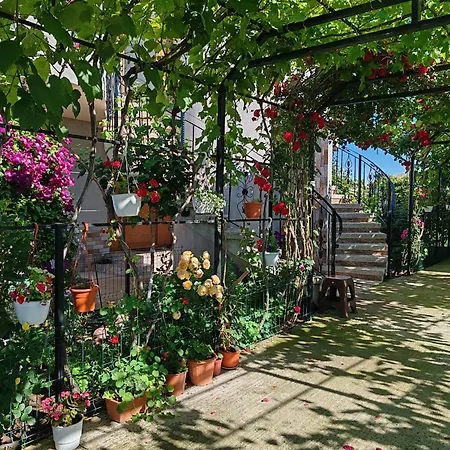 Homestay szállás Casa Rotaru *