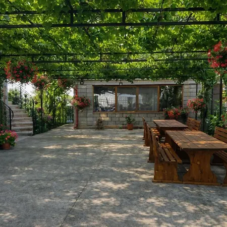 Casa Rotaru Homestay szállás *