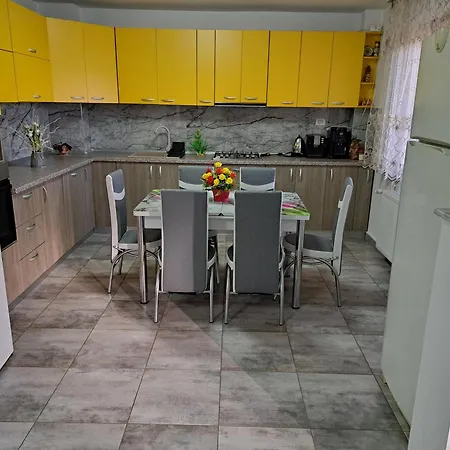 Casa Rotaru Homestay