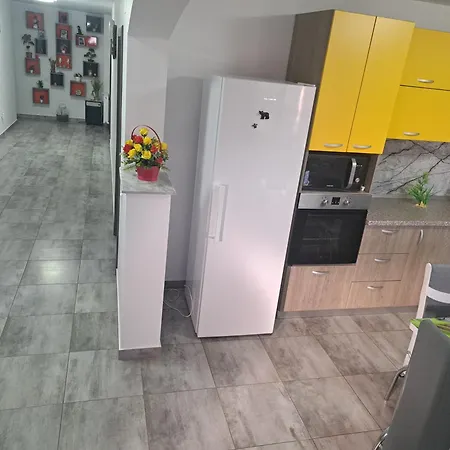 Homestay Casa Rotaru