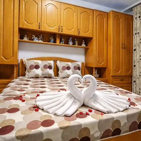 Homestay szállás Casa Rotaru *
