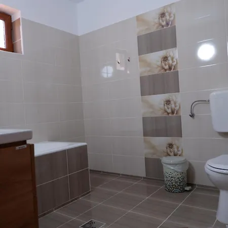 Casa Rotaru * Două Mai