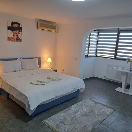 Homestay Casa Rotaru 2 Mai