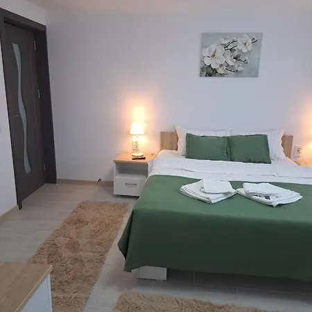 Casa Rotaru Homestay 2 Mai