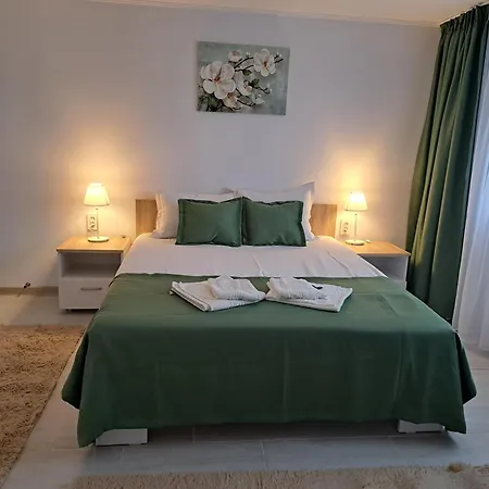 Homestay Casa Rotaru *