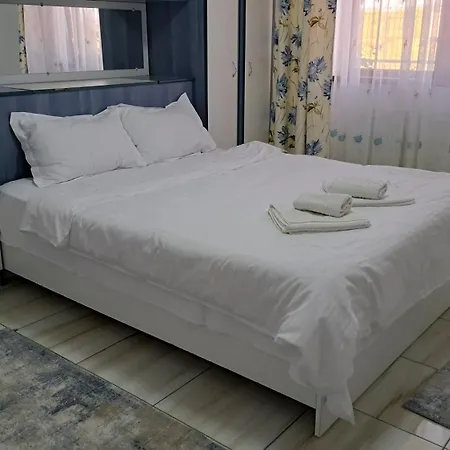 Homestay Casa Rotaru *