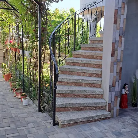 Homestay Casa Rotaru
