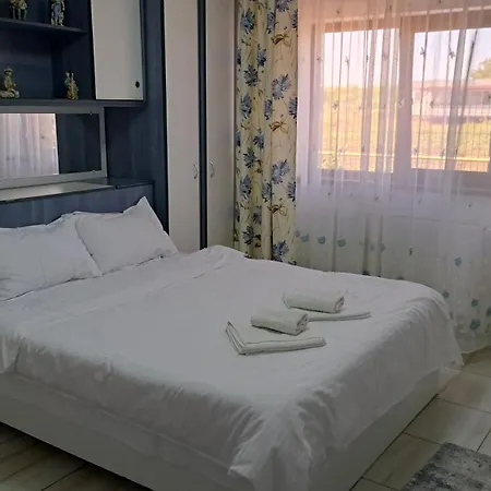 Homestay Casa Rotaru
