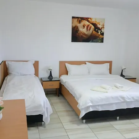 Casa Rotaru Homestay *