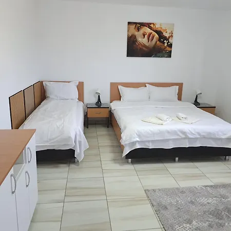 Casa Rotaru Homestay 2 Mai
