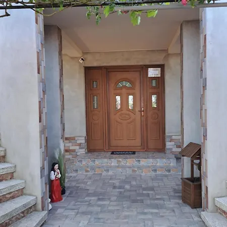 Casa Rotaru Homestay