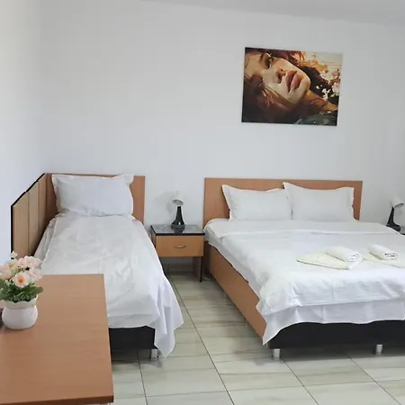 Homestay Casa Rotaru *