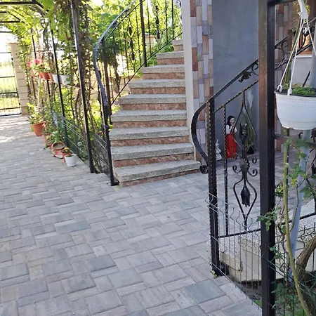 Casa Rotaru Homestay *