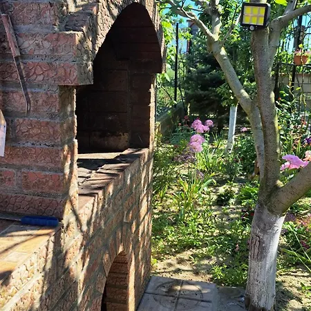 Homestay Casa Rotaru *