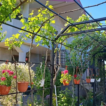 Homestay Casa Rotaru *